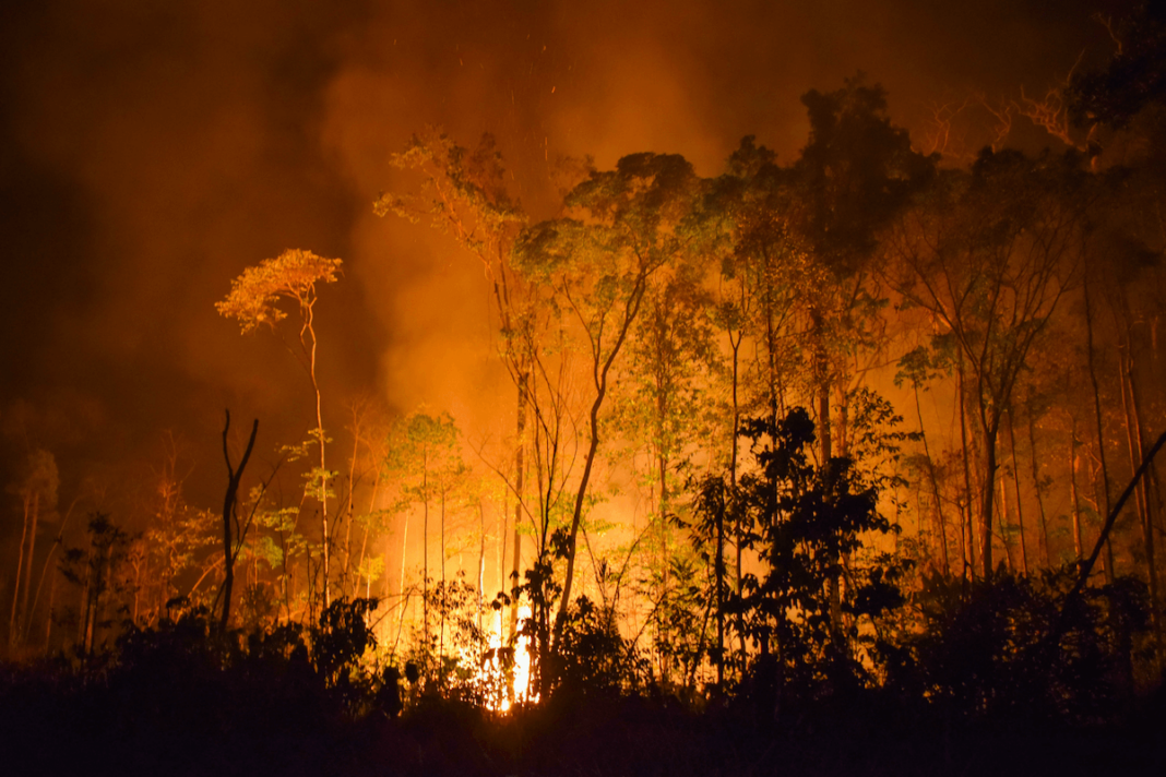 Incendio en Amazonas