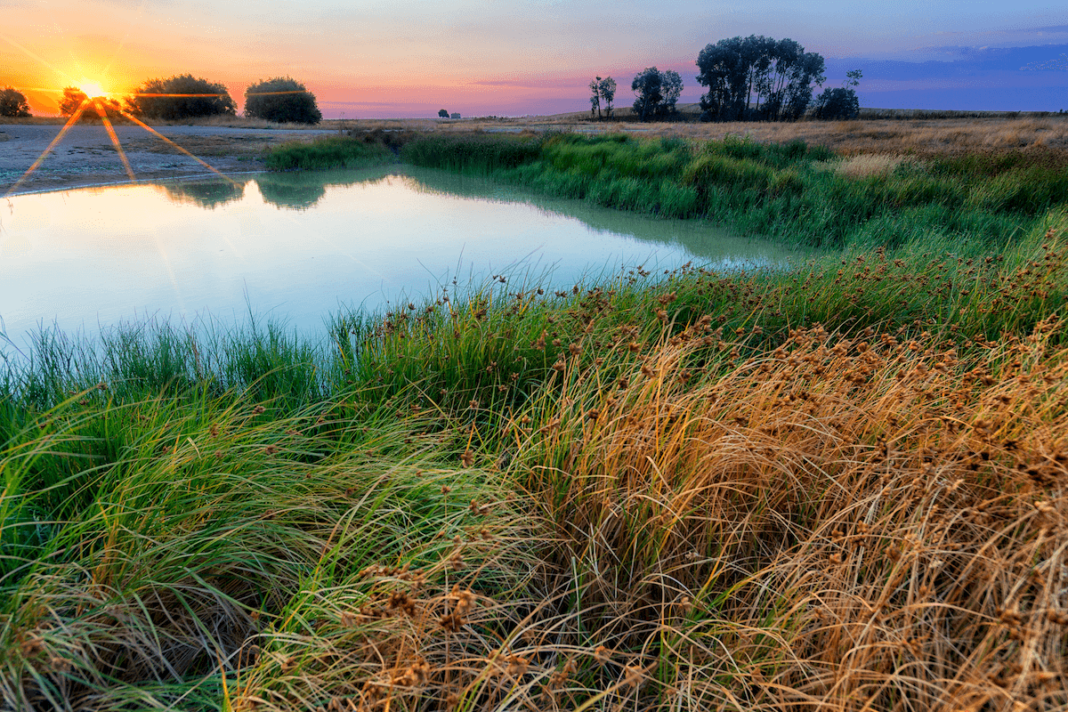 Lagunas de Villafáfila, en la provincia de Zamora