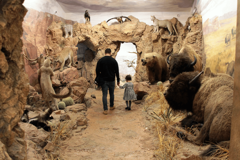Museo de fauna salvaje mundial en Valdehuesa, León