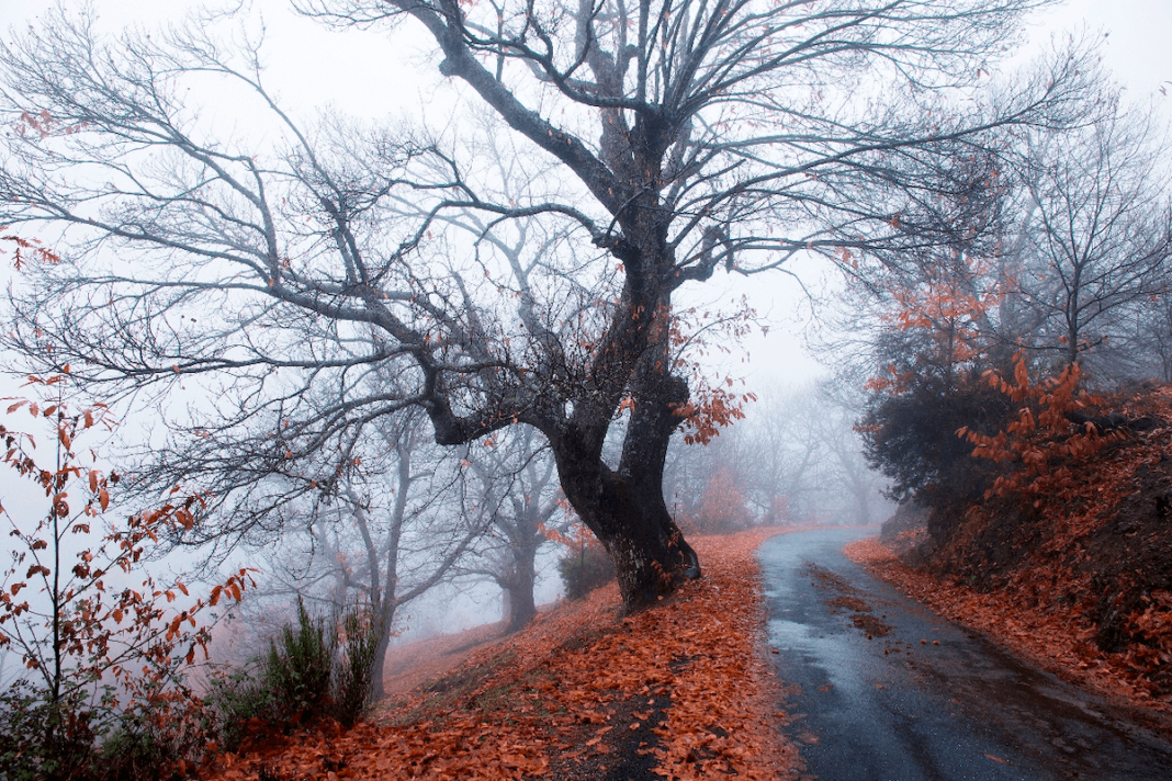 Una de las fotografías ganadoras del concurso de la Reserva de la Biosfera de los Ancares Leoneses