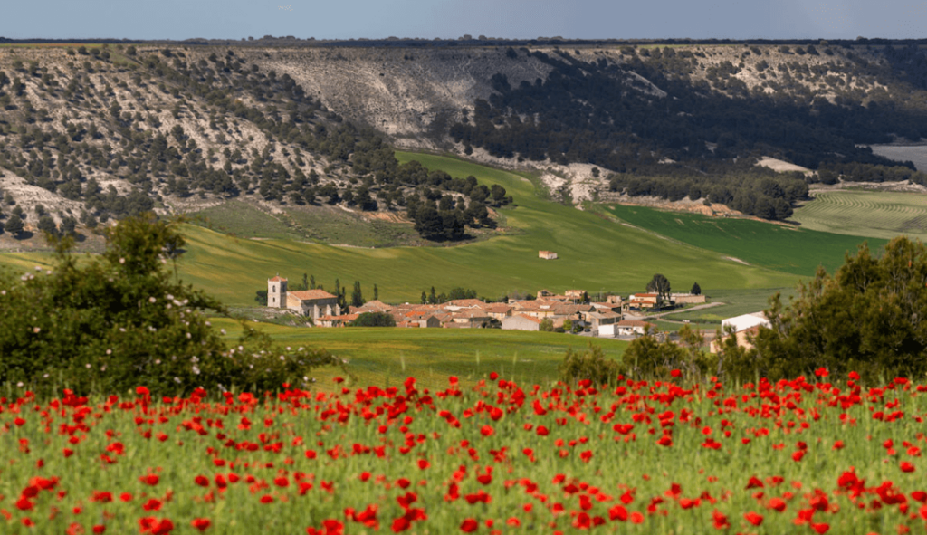 Vista general de San Martín de Valveni, localidad de la provincia de Valladolid