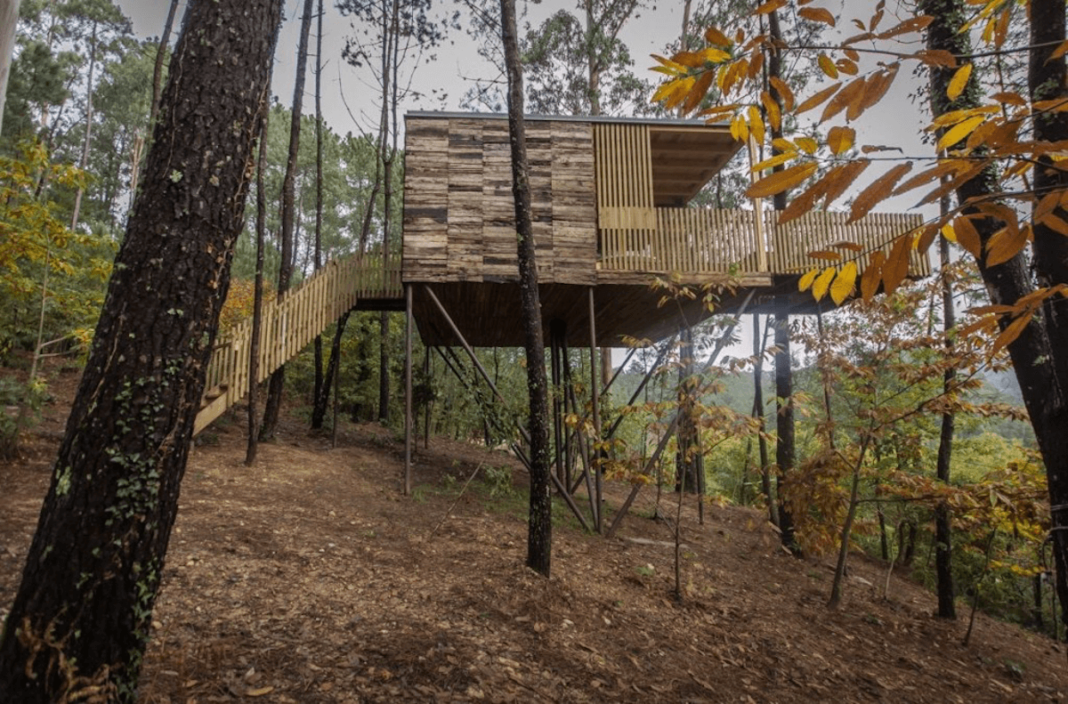 Cabañas sobre los árboles en A Coruña
