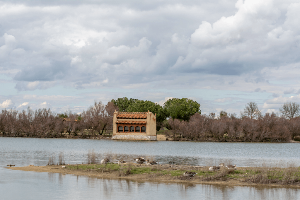 Las Lagunas de Villafáfila recobran su esplendor tras las últimas lluvias caídas