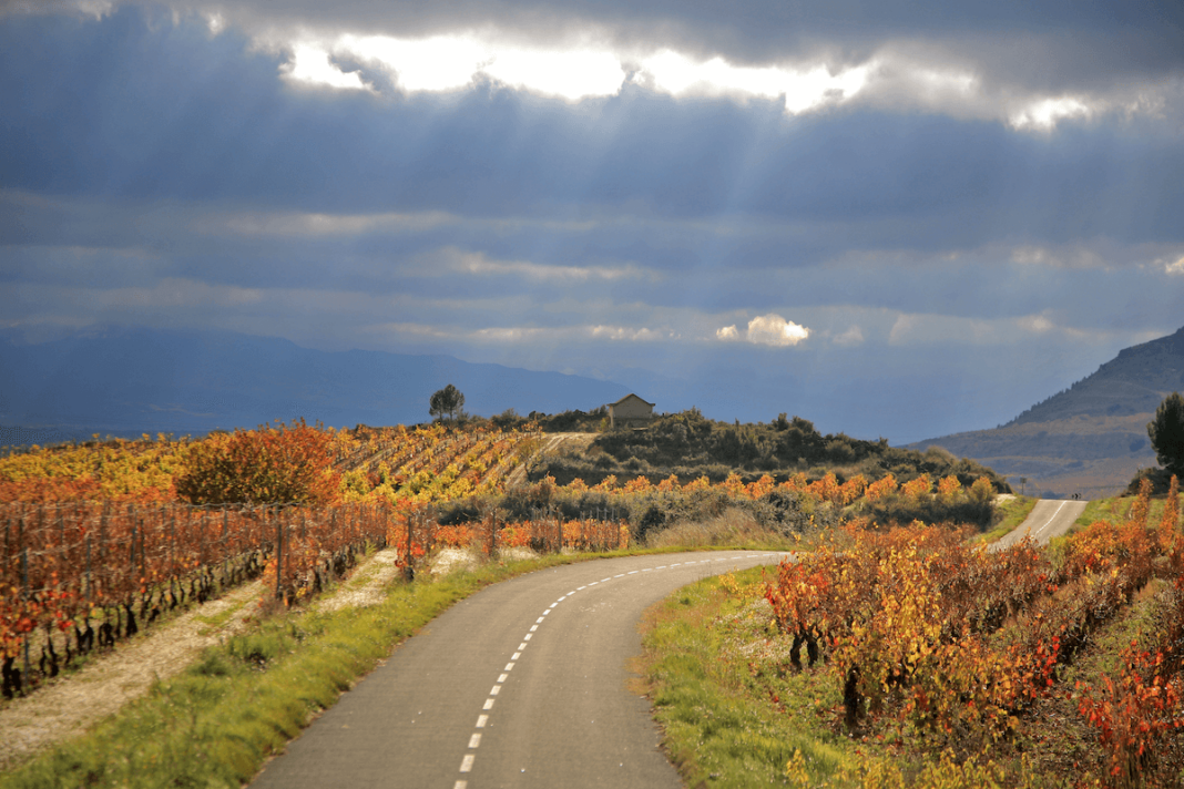 Senderismo en Rioja Alavesa, una propuesta de ruta en familia