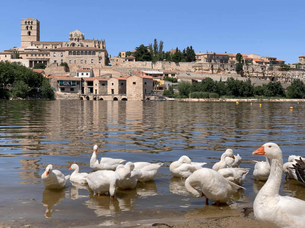 Zamora, vista de la Catedral desde la otra orilla del río Duero