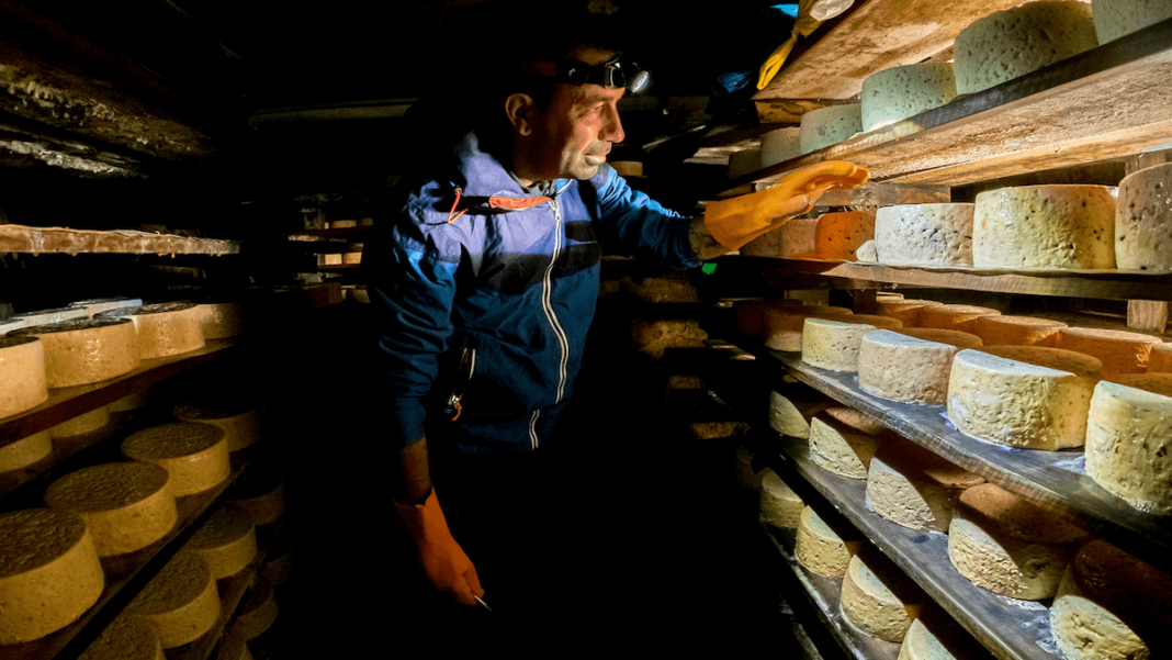 Javier Sánchez Martínez. Cabrales de altura. Cueva del Teyedu. Picos de Europa. Tielve (Asturias). Finalista FotoRural 2021