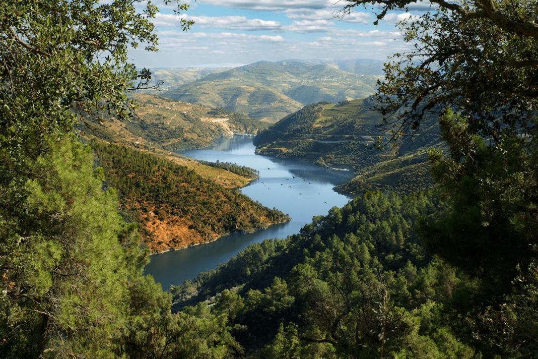 El río Duero es uno de los cauces fluviales del mundo más importantes en el sector vitivinícola