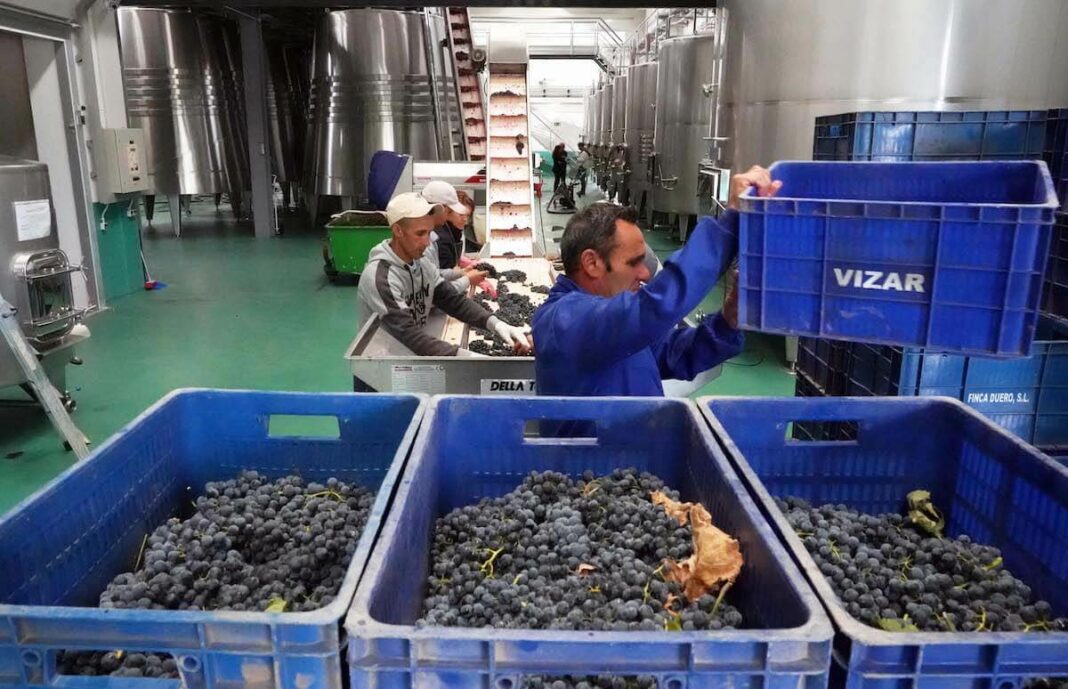 Bodegas Vizar, en Sardón de Duero, Valladolid