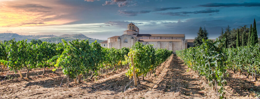 Ribera de Duero es la ruta del vino con más servicios de las casi 40 que hay en toda España