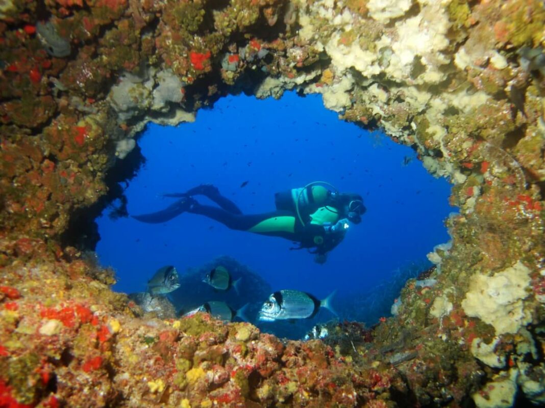 Formentera te ofrece bajo sus aguas experiencias únicas e hipnóticas